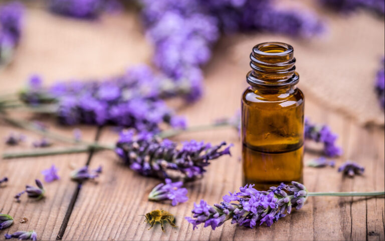 Lavender Essential Oil For Bee Stings