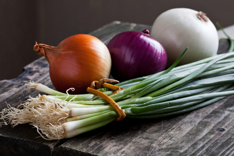 Reduce Inflammation From Bee Stings Using Onions