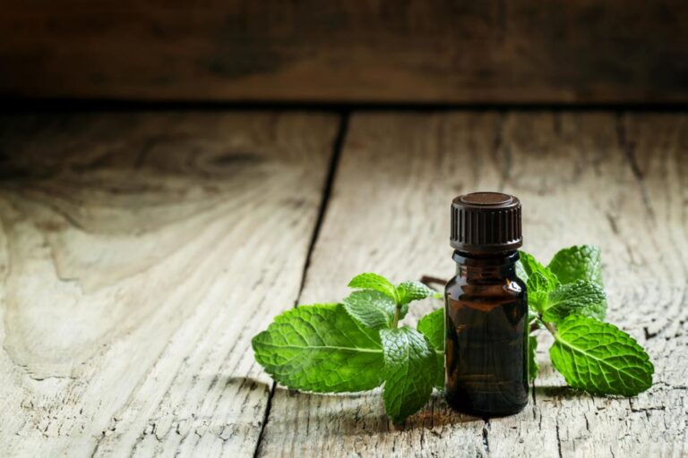 Peppermint Essential Oil Pain Relief For Bee Stings